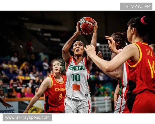 篮球运动社会价值获认可，教育功能备受重视